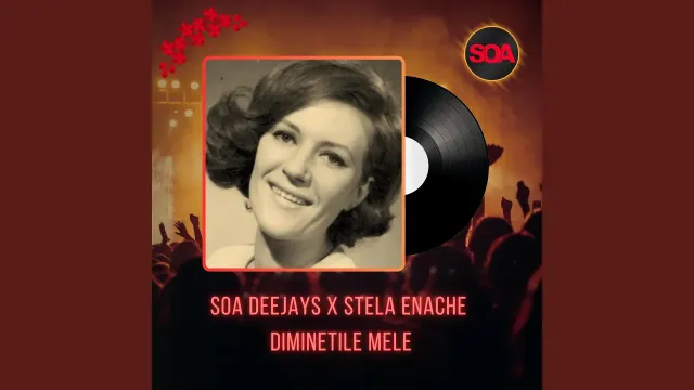 Diminetile Mele (feat. Stela Enache) (Radio Edit)