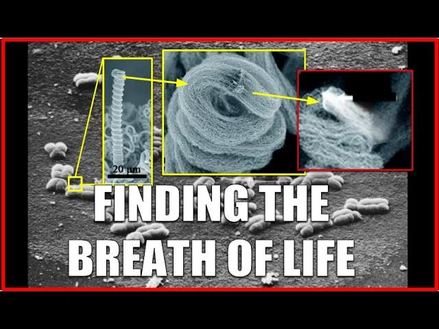 BREATH OF LIFE CAUGHT ON CAMERA