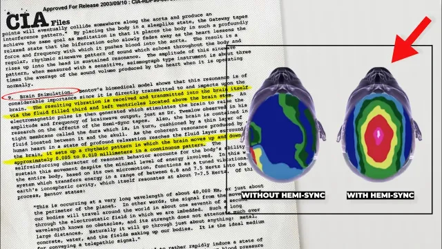 CIA full report on Brain Synchronization, Energy, Manifestation and the Holographic Universe